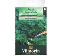 Vilmorin 3790542 Pack de Graines Persil Commun Géant d'Italie