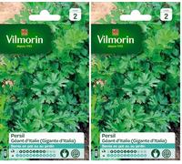 Vilmorin 3790542 Pack de Graines Persil Commun Géant d'Italie (Lot de 2)