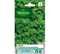 Vilmorin 3805042 Pack de Graines Persil Frise Race Verbo Sélection