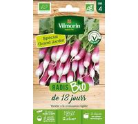 Vilmorin-3883539-RADIS 18 JOURS BIO GM VL 4