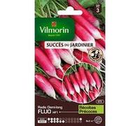 Graines De Radis Variété "Fluo Hf1" Vilmorin Semis De Décembre À Avril