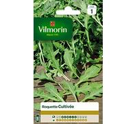 Vilmorin 3910741 Roquette cultivée Vert 9 x 0.5 x 16 cm