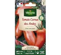Vilmorin-3961342-TOMATE CORNUE DES ANDES VL 2