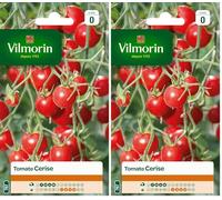Vilmorin 3974040 Tomate cerise Rouge