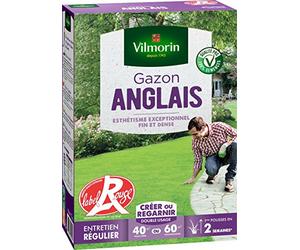 Vilmorin 4462714 Gazon Anglais, Vert, 1 kg