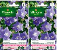 Vilmorin 5182541 Campanule Bleu 9 x 0.5 x 16 cm (Lot de 2)