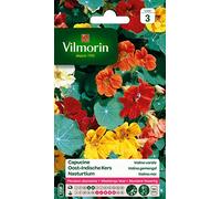 Vilmorin 5191343 Pack de Graines Capucine Valina Variée