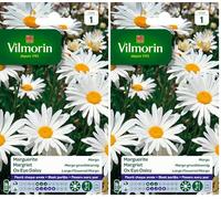 Vilmorin 5217241 Chrysanthème grande marguerite Blanc 9 x 0,5 x 16 cm -L'emballage peut varier (Lot de 2)