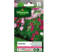 Vilmorin 5247543 Pack de Graines Cosmos Sensation Nain Varié