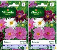 Vilmorin 5248142 Pack de Graines Cosmos Psyché Varié (Lot de 2)