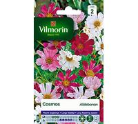 Vilmorin 5248842 Pack de Graines Cosmos Aldebaran Pétales Tubules