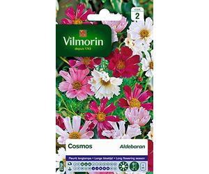 Vilmorin 5248842 Pack de Graines Cosmos Aldebaran Pétales Tubules