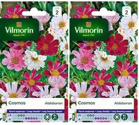 Vilmorin 5248842 Pack de Graines Cosmos Aldebaran Pétales Tubules (Lot de 2)