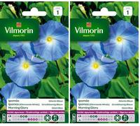 Vilmorin 5323541 Ipomée à Grande Fleur, Bleu, 90 x 2 x 160 cm
