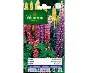 Vilmorin 5345741 Lupin de Russel varie Multicolore 9 x 0.5 x 16 cm