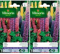 Vilmorin 5345741 Lupin de Russel varie Multicolore 9 x 0.5 x 16 cm (Lot de 2)
