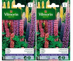 Vilmorin 5345741 Lupin de Russel varie Multicolore 9 x 0.5 x 16 cm (Lot de 2)