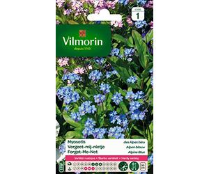 Vilmorin 5380741 Myosotis, Bleu, 90 x 2 x 160 cm