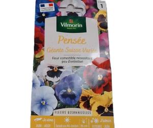 Vilmorin 5471241 Pensée géante Multicolore 9 x 0,5 x 16 cm
