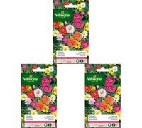 Vilmorin 5633441 Pourpier à Grande Fleur Double varie, Multicolore, 90 x 2 x 160 cm