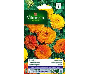 Vilmorin 5791041 Souci Double varie, Multicolore