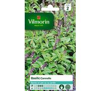 Graine - Vilmorin - Basilic Cannelle