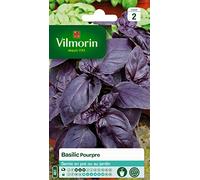 Graines De Basilic Variété "Pourpre" Vilmorin Semis De Mars À Mai