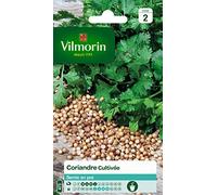 Vilmorin 5875046 Pack de Graines Coriandre Cultivée