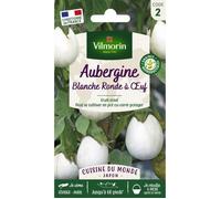 Vilmorin Aubergine Blanche Ronde à Œuf - Cuisine du Monde