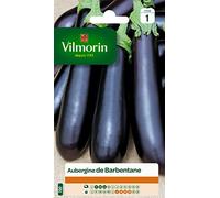 Vilmorin Aubergine de Barbentane