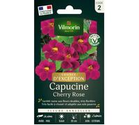 Vilmorin Capucine Cherry Rose - Graines d'Exception