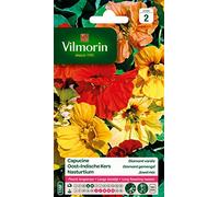Vilmorin 5192442 Pack de Graines Capucine Diamant Variée Double Naine