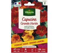 Vilmorin Capucine Grande Variée - Grand Modèle