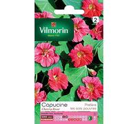 Vilmorin : Capucine Naine Cherry Rose : Sachet