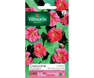 Vilmorin : Capucine Naine Cherry Rose : Sachet