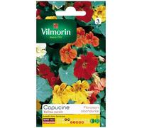Vilmorin Capucine Valina Variée