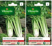 Vilmorin - Céléri Branche d'Elne - Fort rendement - Peu calorique et diététique - Excellente qualité gustative - côtes Rondes et très charnues - (Lot de 2)