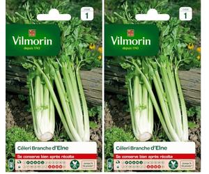 Vilmorin - Céléri Branche d'Elne - Fort rendement - Peu calorique et diététique - Excellente qualité gustative - côtes Rondes et très charnues - (Lot de 2)