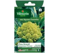 VILMORIN Chou Brocoli Romanesco Précoce
