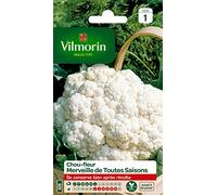 Graines - Vilmorin - Chou-Fleur Merveille des 4 Saisons