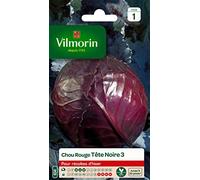 Vilmorin Chou Rouge