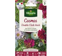 Vilmorin Cosmos Double Click