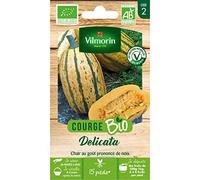 Vilmorin Courge Delicata Bio | Ancienne, Goût noix, Allongée, Savoureuse, Gros fruits