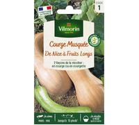 VILMORIN COURGE DE NICE A FRUIT LONG