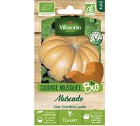 Courge Musquée Muscade - BIO