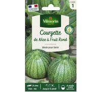 Vilmorin Courgette de Nice à Fruit Rond