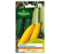 VILMORIN COURGETTE MÉLANGE DE COULEURS