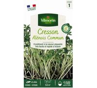 Vilmorin Cresson Alénois Frisé