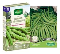 Vilmorin Fève d Aguadulce a très Longue cosse Boite série 20m, Vert & Germisem Contender Graines de Haricots Français 100 g XXL 17 Multicolore