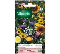 Graines - Vilmorin - Fleurs Mellifères - 4 m² - Mélange de fleurs